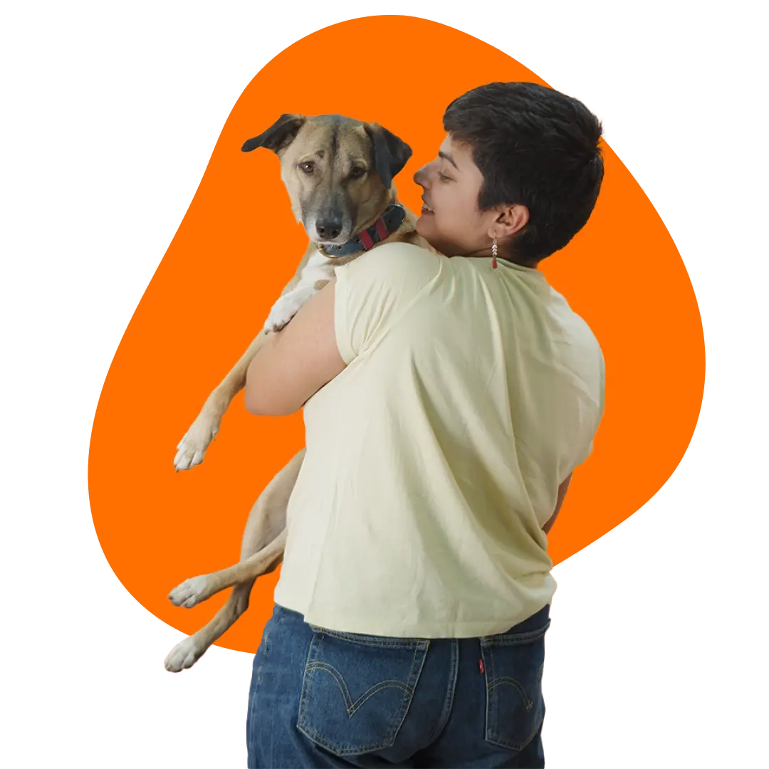 Happy dog with owner demonstrating better dog parenting